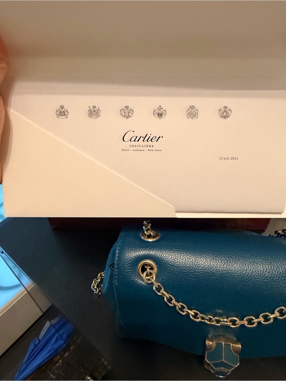 Cartier Panthere Graphique Small Leather Shoulder Bag with champagne Hardware - Picture 9 of 9
